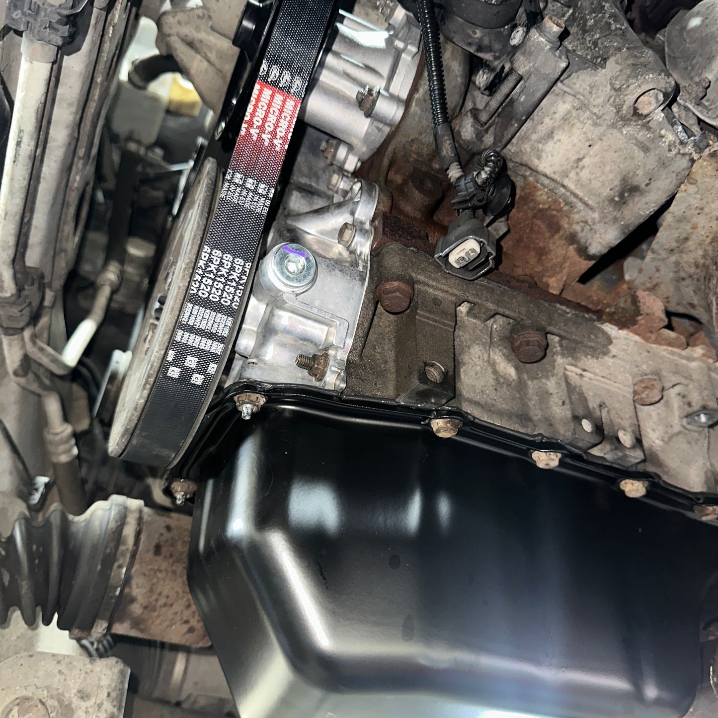 Timing Chain